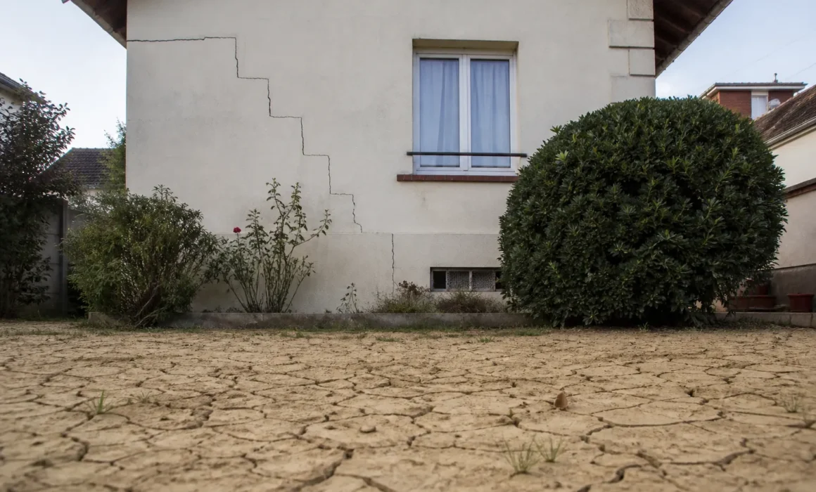 "Fissures