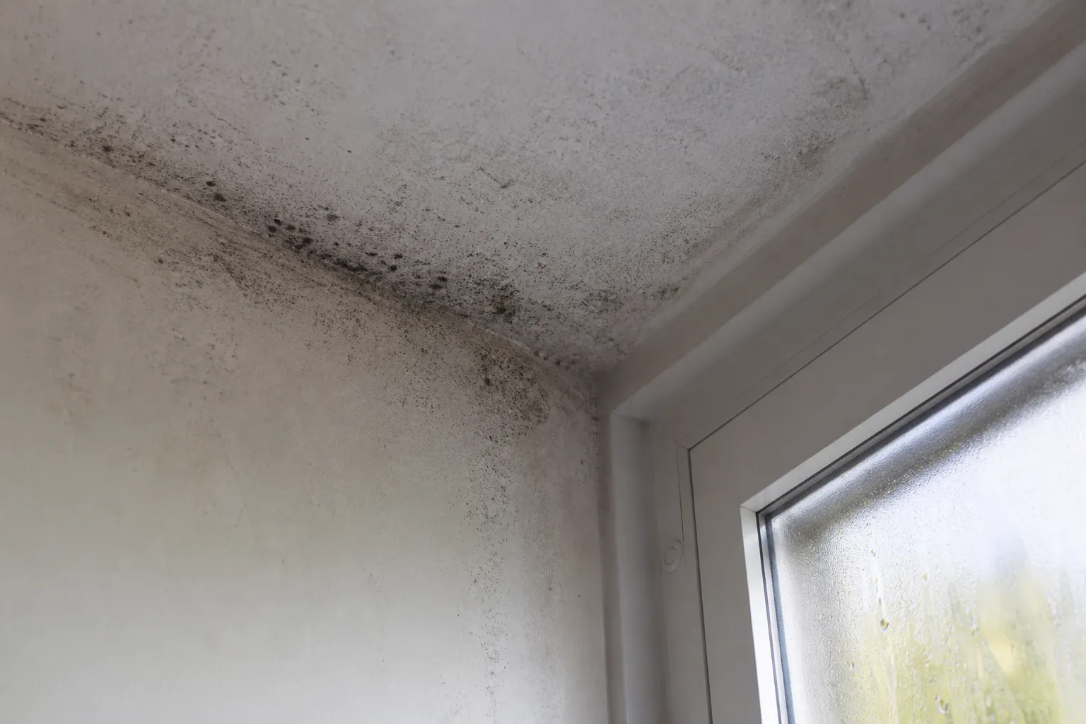 Moisissures et condensation observées lors d'une expertise humidité à Châtillon