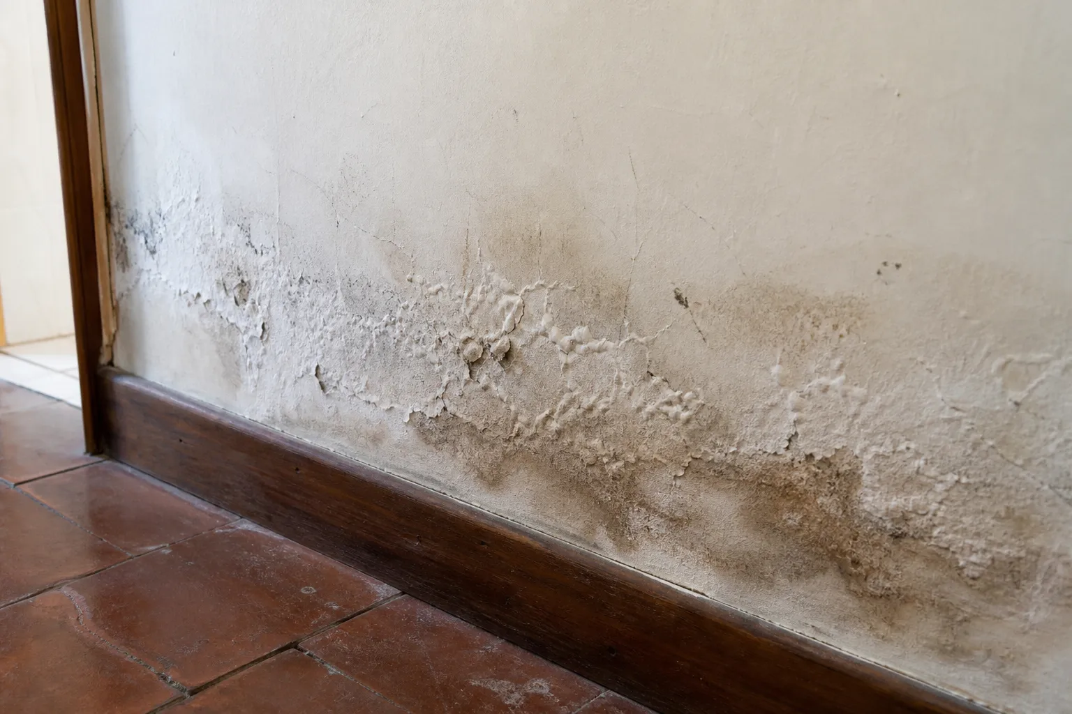 Remontées capillaires et salpêtre en bas de mur à Châtillon